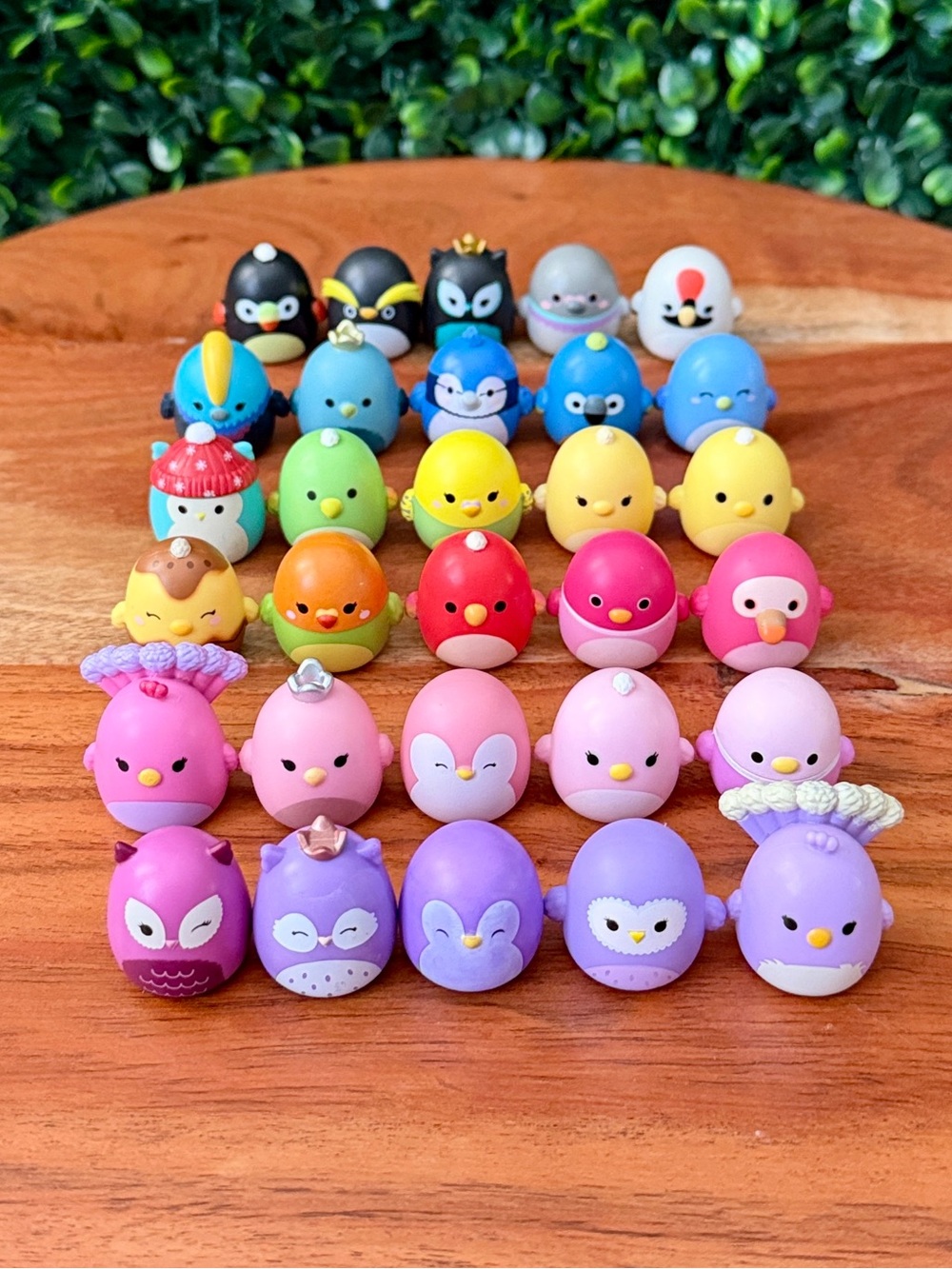 Squish-a-longs by Squishmallows Bird Bundle